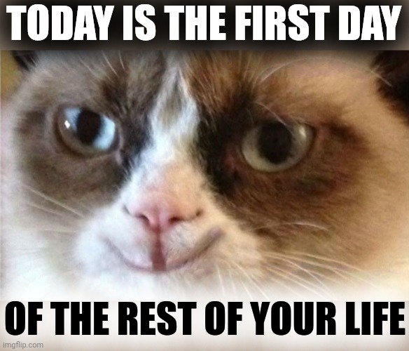 Grumpy Cat happy | TODAY IS THE FIRST DAY OF THE REST OF YOUR LIFE | image tagged in grumpy cat happy | made w/ Imgflip meme maker