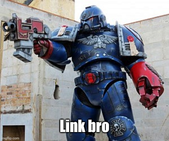 Space Marine | Link bro | image tagged in space marine | made w/ Imgflip meme maker