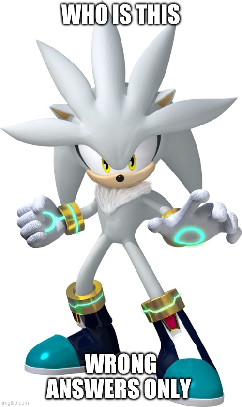 Silver | WHO IS THIS; WRONG ANSWERS ONLY | image tagged in silver | made w/ Imgflip meme maker