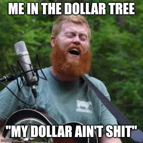 Dollar tree poor | ME IN THE DOLLAR TREE; "MY DOLLAR AIN'T SHIT" | image tagged in funny memes | made w/ Imgflip meme maker