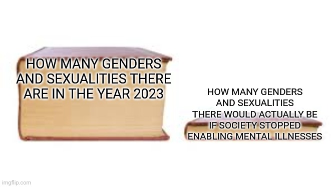 Lgbtq+ ideology is creating a huge mental illness epidemic | HOW MANY GENDERS AND SEXUALITIES THERE ARE IN THE YEAR 2023; HOW MANY GENDERS AND SEXUALITIES THERE WOULD ACTUALLY BE IF SOCIETY STOPPED ENABLING MENTAL ILLNESSES | image tagged in big book small book,lgbtq,stupid liberals,liberal logic,gender confusion | made w/ Imgflip meme maker