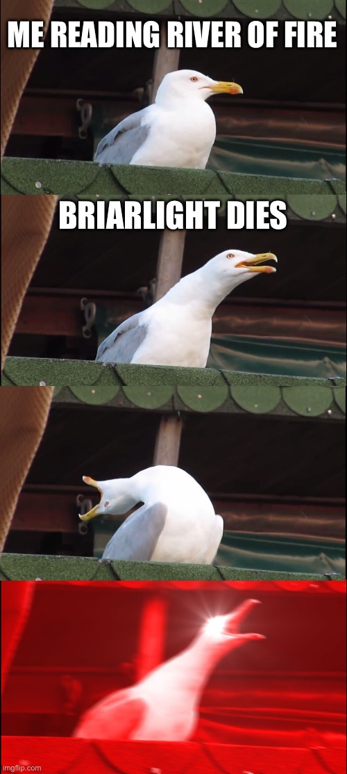 I cried. | ME READING RIVER OF FIRE; BRIARLIGHT DIES | image tagged in memes,inhaling seagull | made w/ Imgflip meme maker