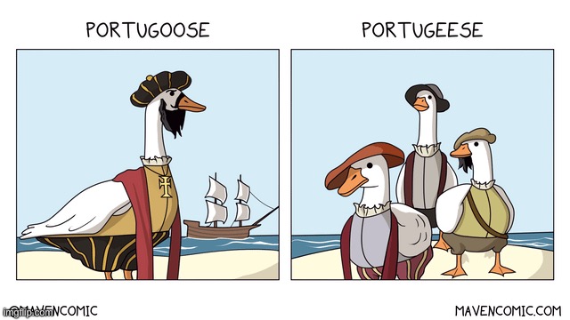 Know The Difference | image tagged in portugese,geese,funny,comics,memes | made w/ Imgflip meme maker