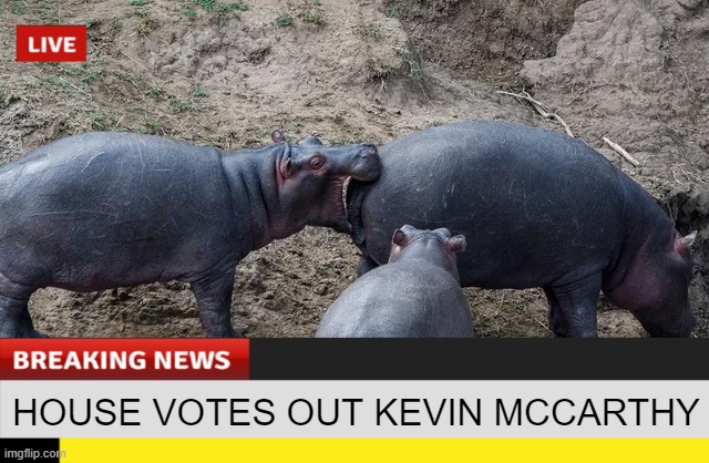 It Was Kinda Like That | HOUSE VOTES OUT KEVIN MCCARTHY | image tagged in politics | made w/ Imgflip meme maker