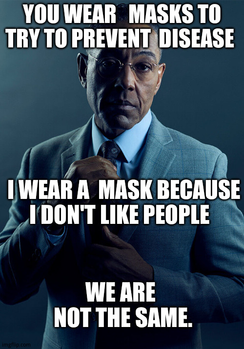 As long as i have an excuse, i'm  wearing it. | YOU WEAR   MASKS TO TRY TO PREVENT  DISEASE; I WEAR A  MASK BECAUSE I DON'T LIKE PEOPLE; WE ARE  NOT THE SAME. | image tagged in gus fring we are not the same,funny memes,let's keep the mask on | made w/ Imgflip meme maker
