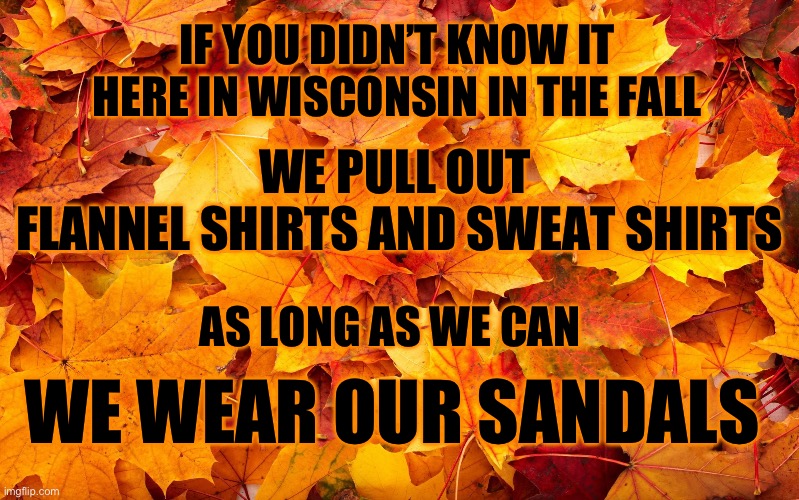 Fall Leaves | IF YOU DIDN’T KNOW IT
HERE IN WISCONSIN IN THE FALL; WE PULL OUT 
FLANNEL SHIRTS AND SWEAT SHIRTS; AS LONG AS WE CAN; WE WEAR OUR SANDALS | image tagged in fall leaves | made w/ Imgflip meme maker