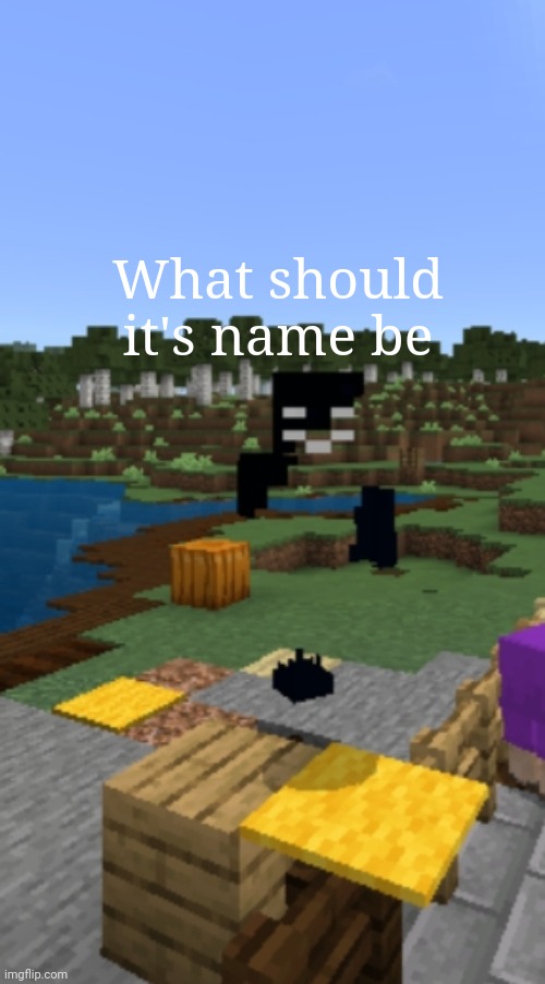 What should it's name be | made w/ Imgflip meme maker