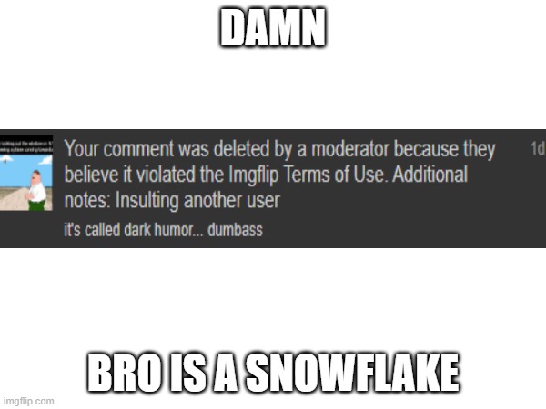 snowflake L | DAMN; BRO IS A SNOWFLAKE | image tagged in snowflake,l,dark humour | made w/ Imgflip meme maker