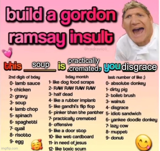 Gordon Ramsey insult | practically cremated; soup; disgrace | image tagged in gordon ramsey insult | made w/ Imgflip meme maker