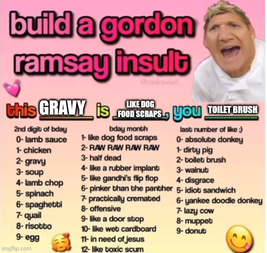 Gordon Ramsey insult | LIKE DOG FOOD SCRAPS; TOILET BRUSH; GRAVY | image tagged in gordon ramsey insult | made w/ Imgflip meme maker