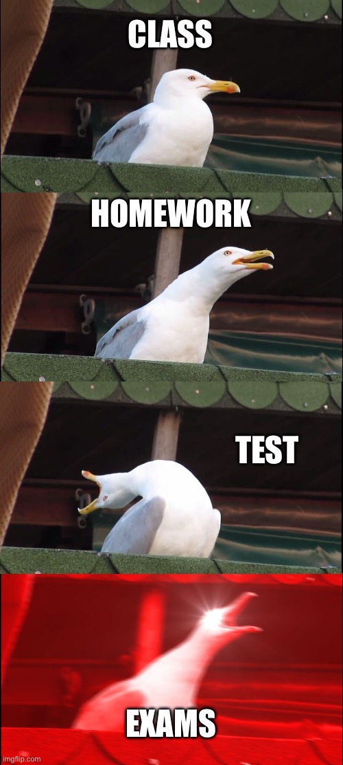 School | CLASS; HOMEWORK; TEST; EXAMS | image tagged in memes | made w/ Imgflip meme maker