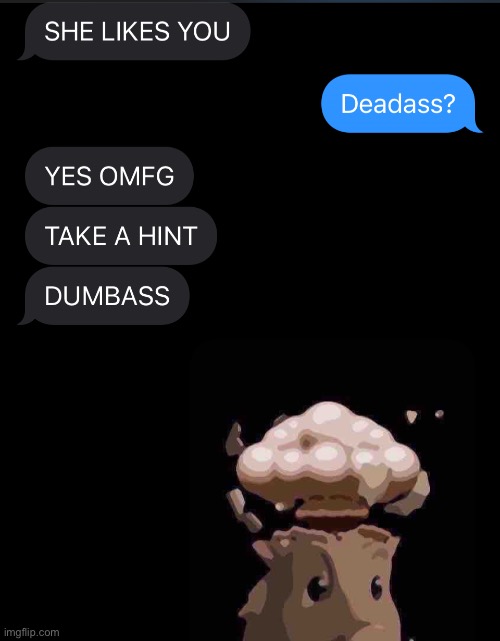 made w/ Imgflip meme maker