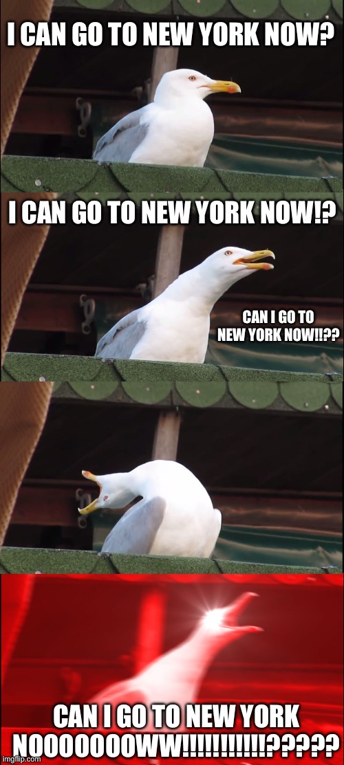 I can go to New York now? | I CAN GO TO NEW YORK NOW? I CAN GO TO NEW YORK NOW!? CAN I GO TO NEW YORK NOW!!?? CAN I GO TO NEW YORK NOOOOOOOWW!!!!!!!!!!!????? | image tagged in memes,inhaling seagull | made w/ Imgflip meme maker