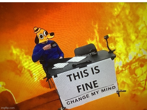 I am ok:/ | image tagged in this is fine | made w/ Imgflip meme maker