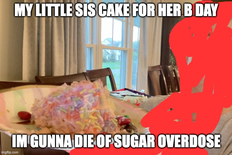 MY LITTLE SIS CAKE FOR HER B DAY; IM GUNNA DIE OF SUGAR OVERDOSE | made w/ Imgflip meme maker