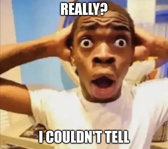 guy with shocked face | REALLY? I COULDN'T TELL | image tagged in guy with shocked face | made w/ Imgflip meme maker