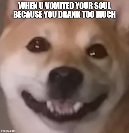 WHEN U VOMITED YOUR SOUL BECAUSE YOU DRANK TOO MUCH | image tagged in shiba inu | made w/ Imgflip meme maker