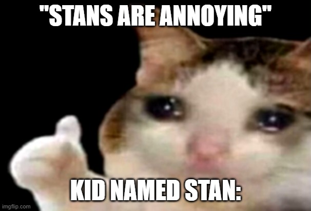 Sad cat thumbs up | "STANS ARE ANNOYING"; KID NAMED STAN: | image tagged in sad cat thumbs up | made w/ Imgflip meme maker