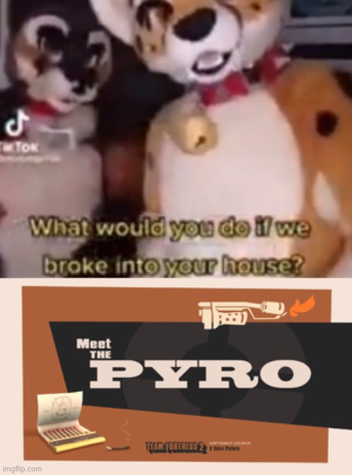 we do a little trolling | image tagged in meet the pyro | made w/ Imgflip meme maker