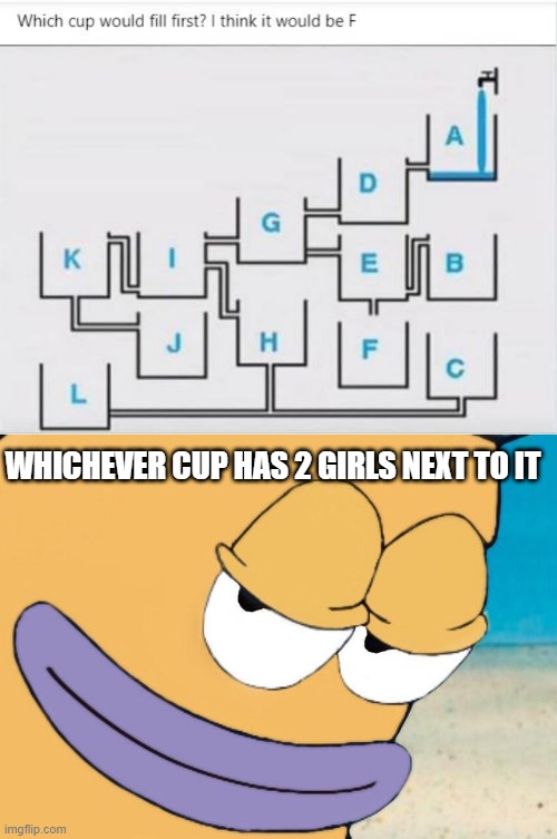 Which Cup | WHICHEVER CUP HAS 2 GIRLS NEXT TO IT | image tagged in smirking fish | made w/ Imgflip meme maker