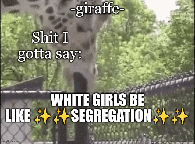 -giraffe- - Imgflip