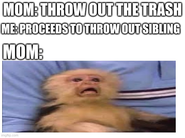 I Don't Have Siblings But I Tried To Make One Of Those Sibling Memes | ME: PROCEEDS TO THROW OUT SIBLING; MOM: THROW OUT THE TRASH; MOM: | image tagged in memes,monkey | made w/ Imgflip meme maker