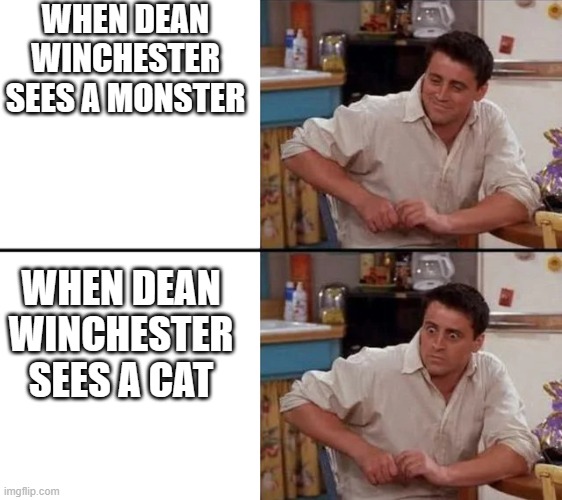 When Dean sees a cat | WHEN DEAN WINCHESTER SEES A MONSTER; WHEN DEAN WINCHESTER SEES A CAT | image tagged in surprised joey,supernatural,supernatural dean winchester,supernatural dean,cat | made w/ Imgflip meme maker