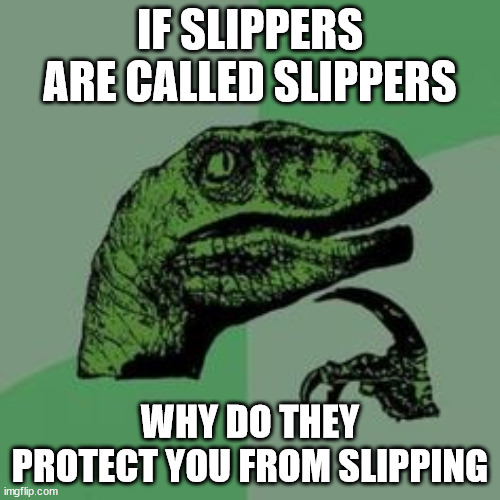 They help you get warm feet | IF SLIPPERS ARE CALLED SLIPPERS; WHY DO THEY PROTECT YOU FROM SLIPPING | image tagged in time raptor | made w/ Imgflip meme maker