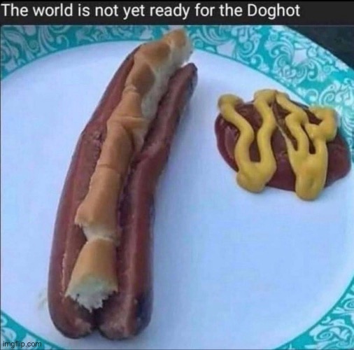 The world is not yet ready for the doghot | image tagged in doghot | made w/ Imgflip meme maker