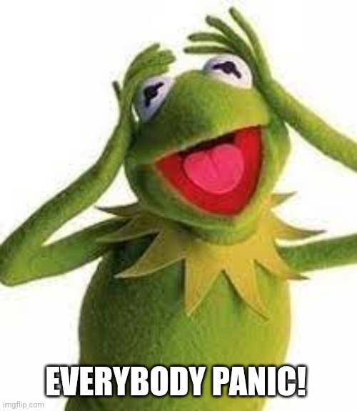 Kermit AHHHHHHHHH | EVERYBODY PANIC! | image tagged in kermit ahhhhhhhhh | made w/ Imgflip meme maker