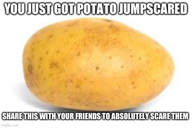 Goofy | YOU JUST GOT POTATO JUMPSCARED; SHARE THIS WITH YOUR FRIENDS TO ABSOLUTELY SCARE THEM | image tagged in potato | made w/ Imgflip meme maker