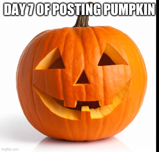 Pumpkin day 7 | DAY 7 OF POSTING PUMPKIN | image tagged in pumkin | made w/ Imgflip meme maker