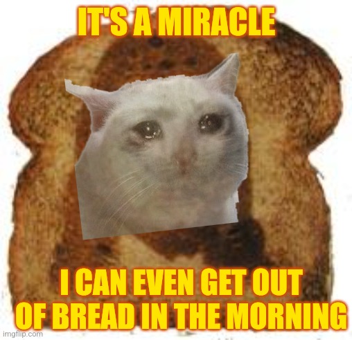 Miracle confirmed | IT'S A MIRACLE; I CAN EVEN GET OUT OF BREAD IN THE MORNING | image tagged in jesus in toast,depression,crying cat,sad cat,sad cat thumbs up | made w/ Imgflip meme maker
