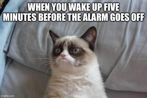 Grumpy Cat Bed | WHEN YOU WAKE UP FIVE
MINUTES BEFORE THE ALARM GOES OFF | image tagged in memes,grumpy cat bed,grumpy cat | made w/ Imgflip meme maker