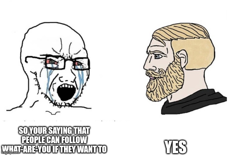 Soyboy Vs Yes Chad | SO YOUR SAYING THAT PEOPLE CAN FOLLOW WHAT-ARE-YOU IF THEY WANT TO YES | image tagged in soyboy vs yes chad | made w/ Imgflip meme maker
