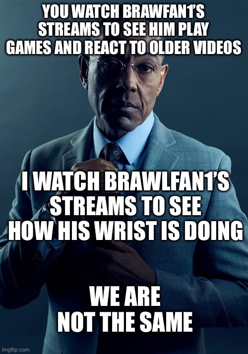 Gus Fring we are not the same | YOU WATCH BRAWFAN1’S STREAMS TO SEE HIM PLAY GAMES AND REACT TO OLDER VIDEOS; I WATCH BRAWLFAN1’S STREAMS TO SEE HOW HIS WRIST IS DOING; WE ARE NOT THE SAME | image tagged in gus fring we are not the same | made w/ Imgflip meme maker