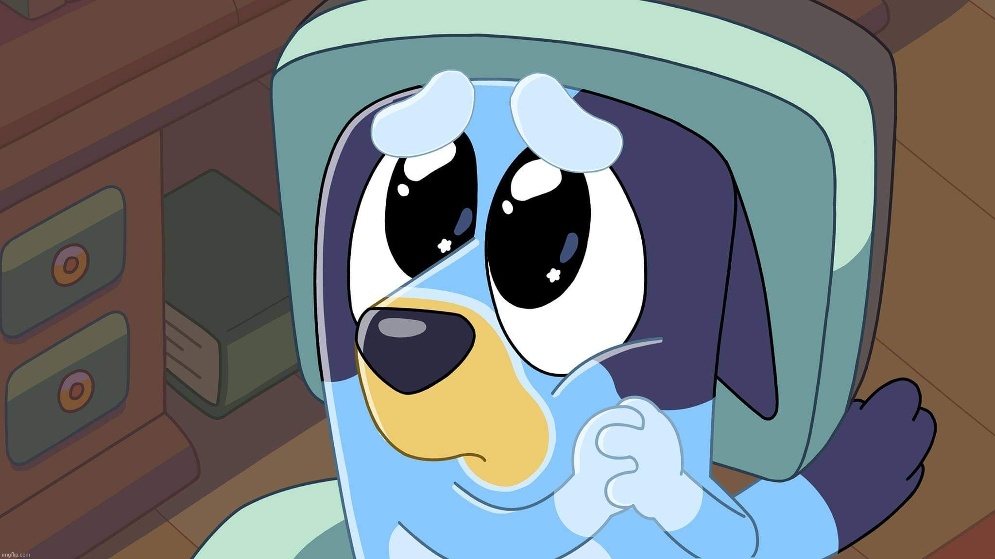 Bluey's Please Face | image tagged in bluey's please face | made w/ Imgflip meme maker