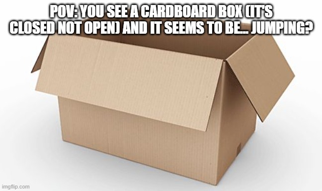 Empty Cardboard Box | POV: YOU SEE A CARDBOARD BOX (IT'S CLOSED NOT OPEN) AND IT SEEMS TO BE... JUMPING? | image tagged in empty cardboard box | made w/ Imgflip meme maker