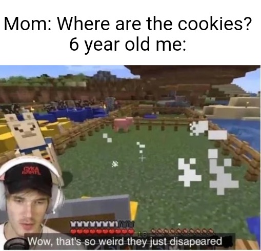 True | Mom: Where are the cookies?

6 year old me: | image tagged in memes,funny,funny memes,dank memes,so true memes,relatable | made w/ Imgflip meme maker