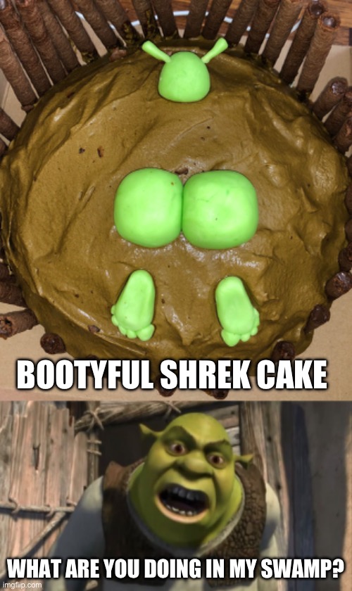 Shrek cake | BOOTYFUL SHREK CAKE; WHAT ARE YOU DOING IN MY SWAMP? | image tagged in shrek what are you doing in my swamp,shrek,cake,booty | made w/ Imgflip meme maker