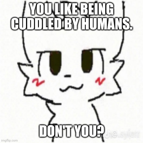 Human cuddler. | YOU LIKE BEING CUDDLED BY HUMANS. DON'T YOU? | image tagged in boy kisser | made w/ Imgflip meme maker