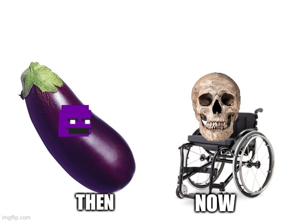 [•~•] | THEN; NOW | image tagged in blank white template | made w/ Imgflip meme maker