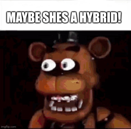 Shocked Freddy Fazbear | MAYBE SHES A HYBRID! | image tagged in shocked freddy fazbear | made w/ Imgflip meme maker