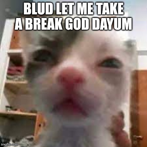 BLUD LET ME TAKE A BREAK GOD DAYUM | made w/ Imgflip meme maker