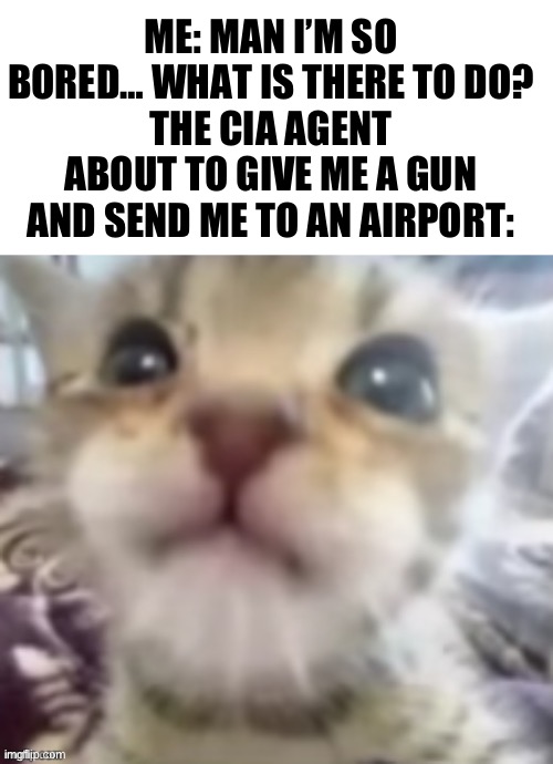 ME: MAN I’M SO BORED… WHAT IS THERE TO DO?
THE CIA AGENT ABOUT TO GIVE ME A GUN AND SEND ME TO AN AIRPORT: | made w/ Imgflip meme maker