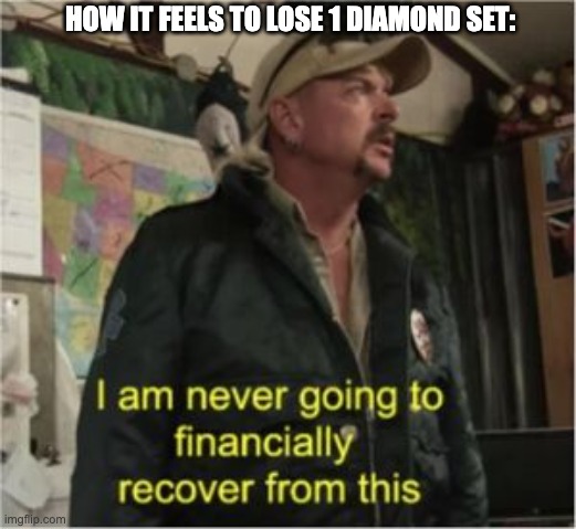 I'll never financially recover | HOW IT FEELS TO LOSE 1 DIAMOND SET: | image tagged in i'll never financially recover | made w/ Imgflip meme maker