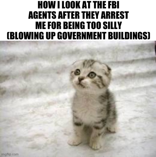 Sad Cat Meme | HOW I LOOK AT THE FBI AGENTS AFTER THEY ARREST ME FOR BEING TOO SILLY (BLOWING UP GOVERNMENT BUILDINGS) | image tagged in memes,sad cat | made w/ Imgflip meme maker