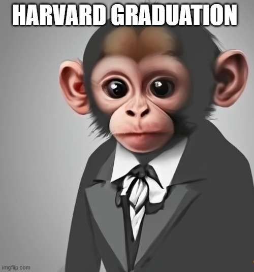 welcome to the harvard graduation | HARVARD GRADUATION | image tagged in monke,monkey,fun,funny,memes | made w/ Imgflip meme maker