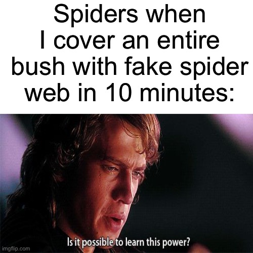 lol | Spiders when I cover an entire bush with fake spider web in 10 minutes: | image tagged in memes,is it possible to learn this power,funny,spiders,halloween | made w/ Imgflip meme maker