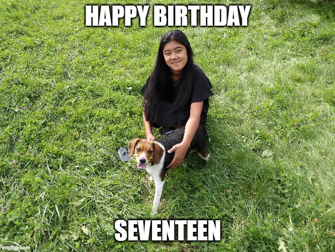 HAPPY BIRTHDAY; SEVENTEEN | made w/ Imgflip meme maker